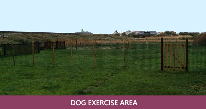 Dog exercise area.