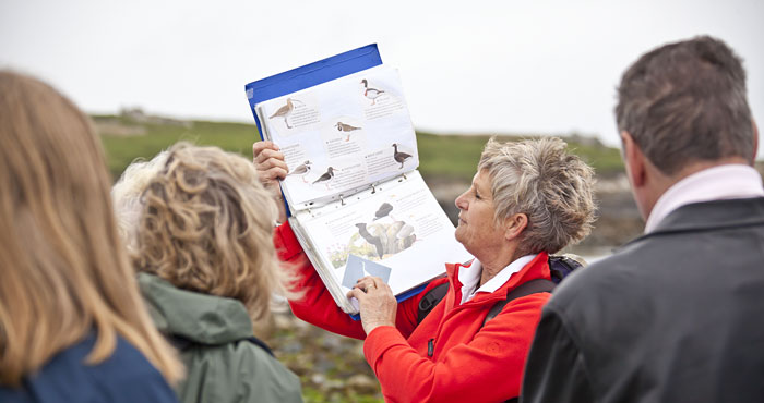 Guernsey birdwatching.
